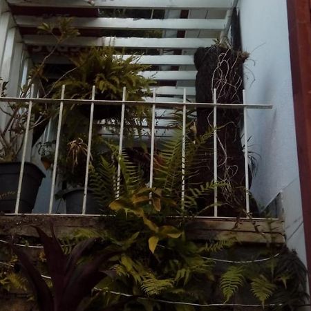 Hostel Mdemarilia Nova Friburgo Εξωτερικό φωτογραφία